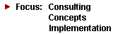 Focus: Consulting - Concepts - Implementation
